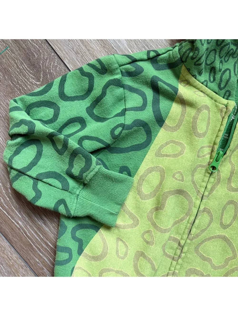 Disney Parks Toy Story Rex Zip Up Hoodie